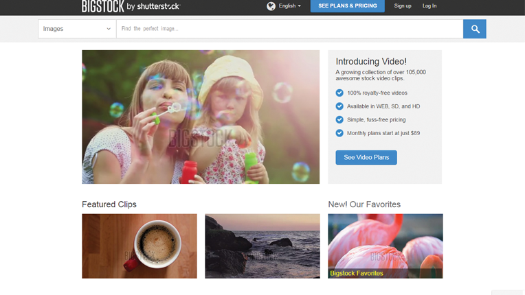  Shutterstock  Videos  Pricing  Shutter Stock  Image Search